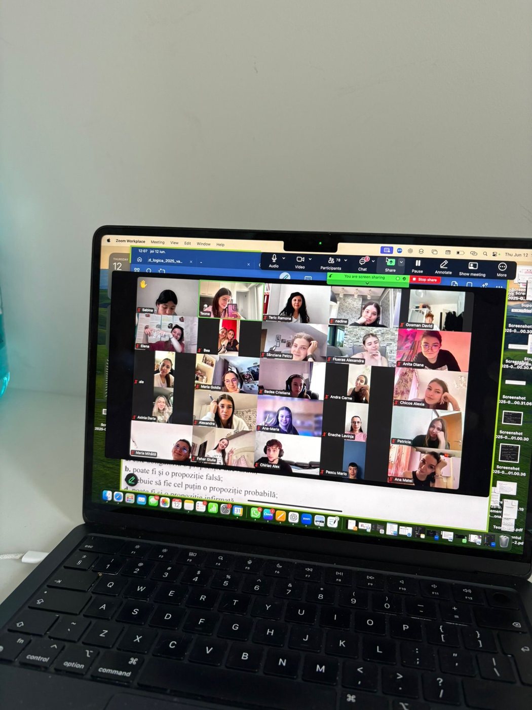 Curs online pe Zoom